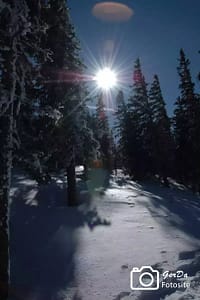 Foto Winterwald