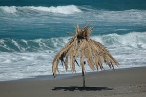 Foto Palmenschirm am Strand mit Meereswellen