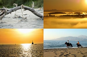 Collage Neue Fotos 0826