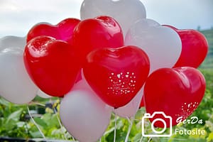 Foto rote und weiße Herzluftballons